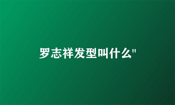 罗志祥发型叫什么