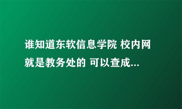 谁知道东软信息学院 校内网 就是教务处的 可以查成绩的内个网站