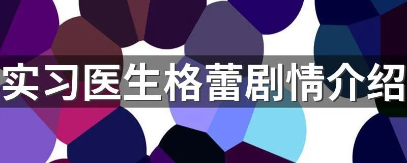 实习医生格蕾剧情介绍 这部剧里有什么元素