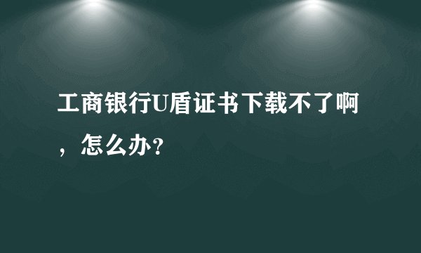 工商银行U盾证书下载不了啊，怎么办？