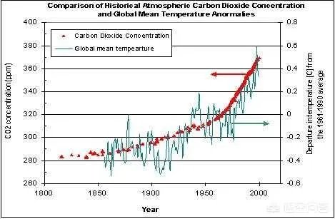 近来北极圈罕见32℃高温，高温成因是什么？北极熊受此影响会走向灭绝吗？