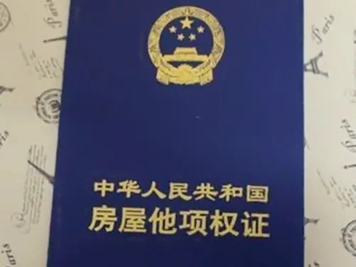 他项权证是什么意思