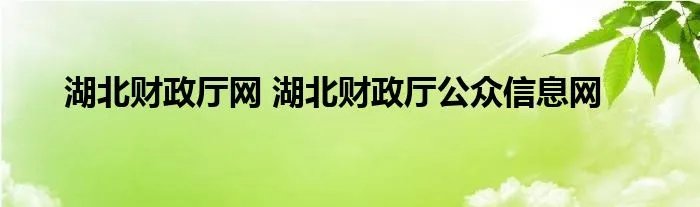 湖北财政厅网 湖北财政厅公众信息网