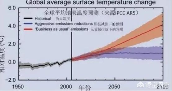 近来北极圈罕见32℃高温，高温成因是什么？北极熊受此影响会走向灭绝吗？