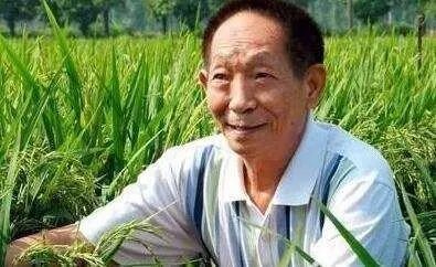 袁隆平宣布的重大成果是什么？