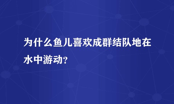 为什么鱼儿喜欢成群结队地在水中游动?