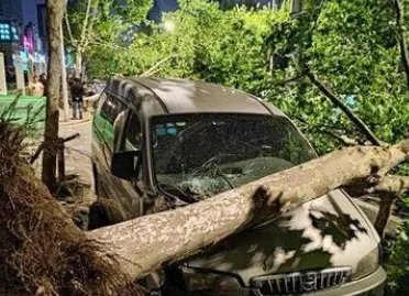 江苏南通大风致11死102伤，当地的风达到了多少级？