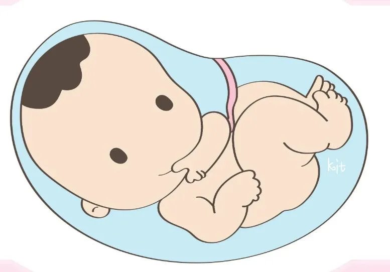 试管捐卵取卵过程-取卵程序是怎样的?