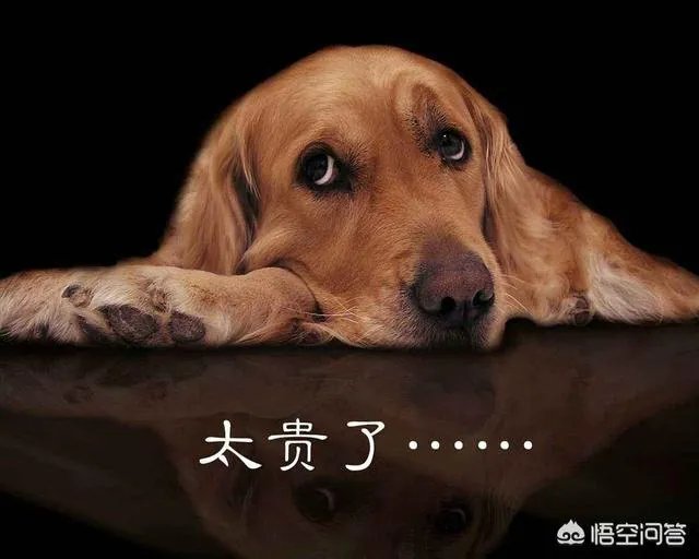 权健产品下架后（京东苏宁都已下架），你还相信其他任何保健品吗？