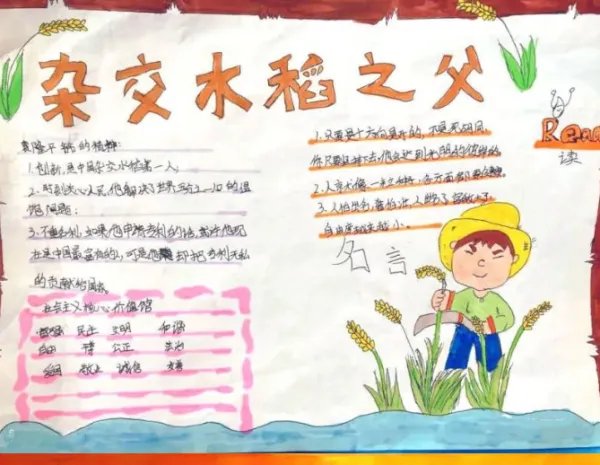 关于袁隆平爷爷的手抄报