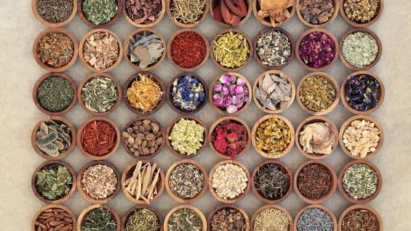 明日叶功效与作用 明日叶营养价值有哪些