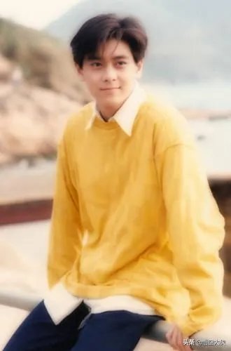 林心如和林志颖当初为什么分手?