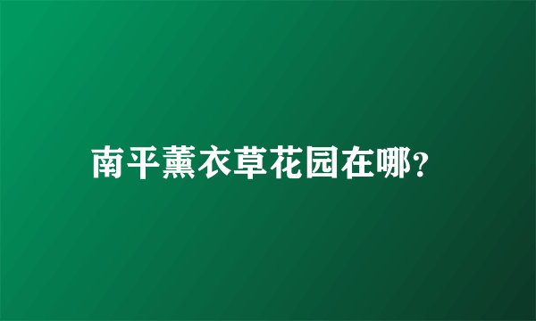南平薰衣草花园在哪？