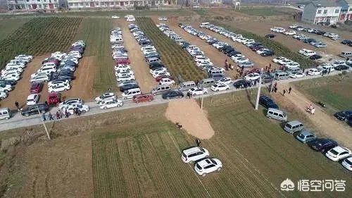 西安村民将麦田设为临时停车场收费遭质疑,你怎么看?