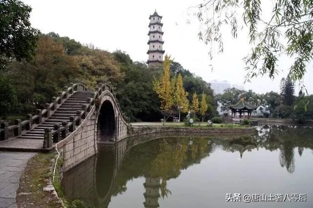 近期打算来一次温州自驾游，去哪里比较合适？