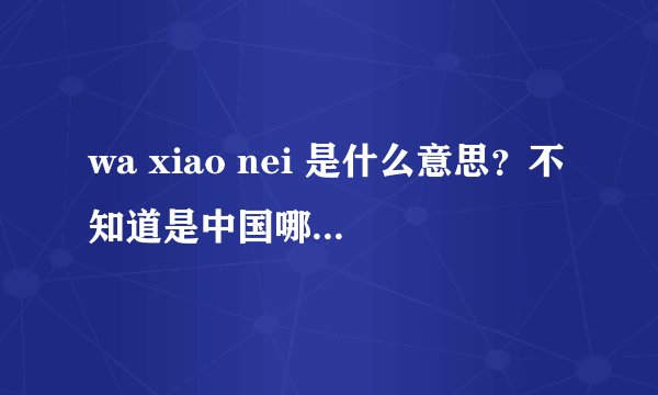 wa xiao nei 是什么意思?不知道是中国哪个地方的方言
