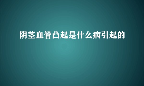 阴茎血管凸起是什么病引起的