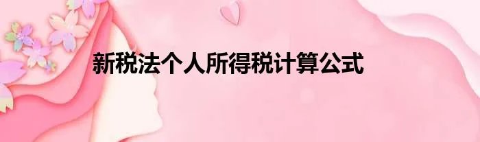 新税法个人所得税计算公式