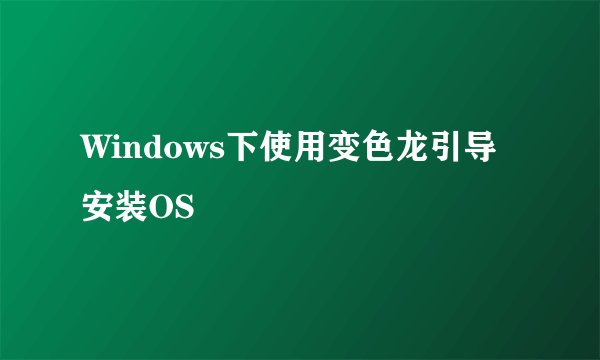 Windows下使用变色龙引导安装OS