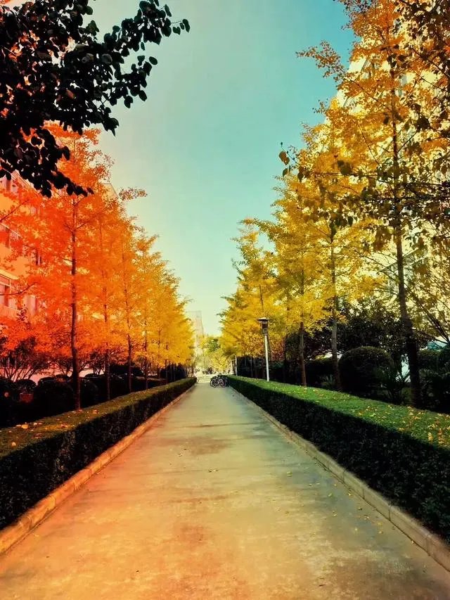 宝鸡一大学生单身21年终脱单，室友拉横幅游校一圈来庆祝，这事你怎么看？