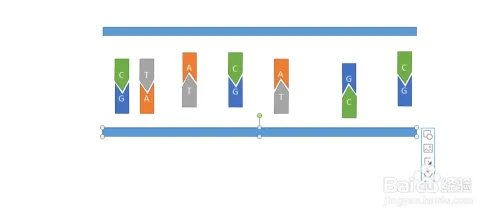 如何用ppt画出简单的DNA分子双链模型——基础篇