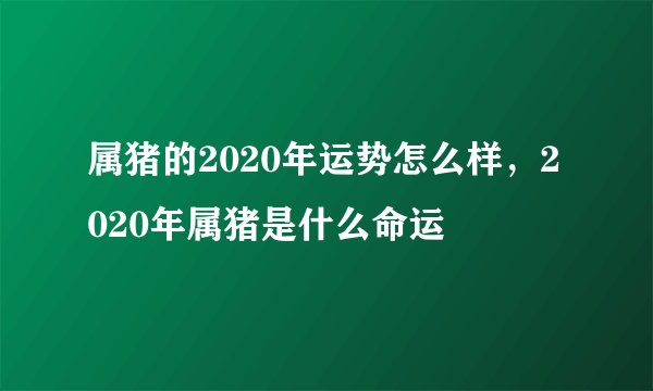属猪的2020年运势怎么样,2020年属猪是什么命运