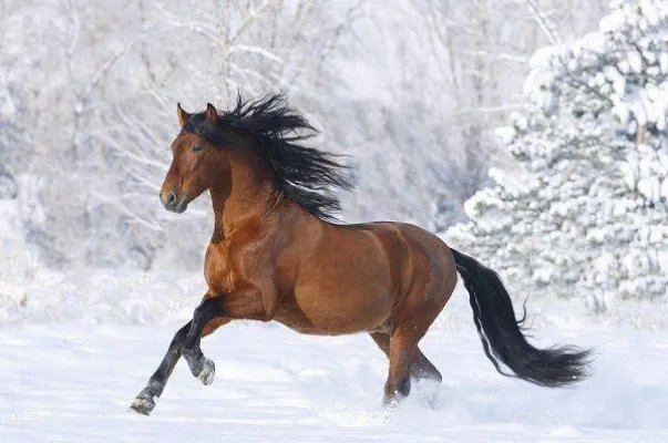 时光与你共终老小说 简漫宁陆御深在线阅读