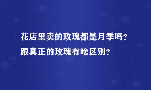 花店里卖的玫瑰都是月季吗?跟真正的玫瑰有啥区别?