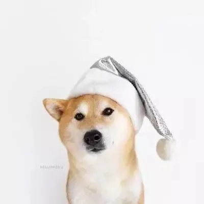 抖音最火情侣头像大全