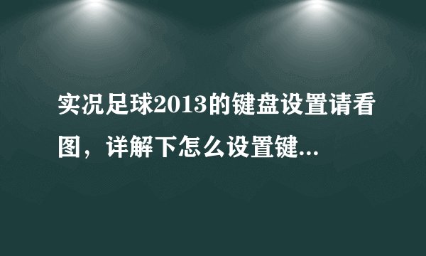 实况足球2013的键盘设置请看图，详解下怎么设置键盘对应按键，谢谢