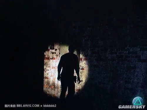 PS3《神秘海域2》图文流程攻略