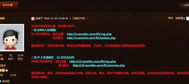 怎样评价魔兽世界私服？