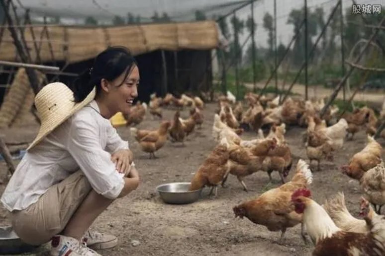 海归美女博士回京种菜养猪 年收入高达800万