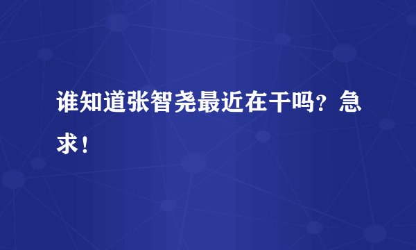 谁知道张智尧最近在干吗？急求！