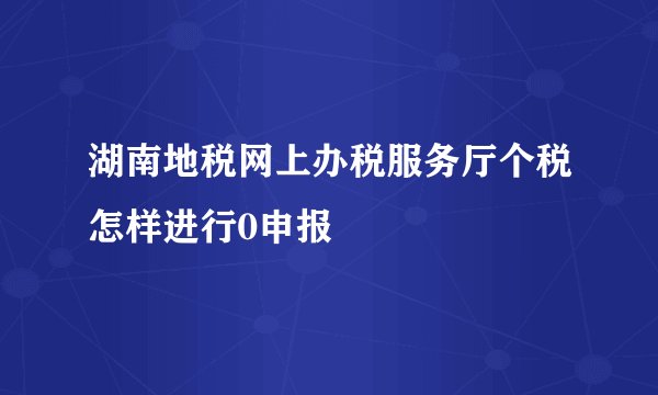 湖南地税网上办税服务厅个税怎样进行0申报