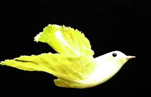 大爷用蔬菜制作出动物世界 完美诠释艺术来源于生活