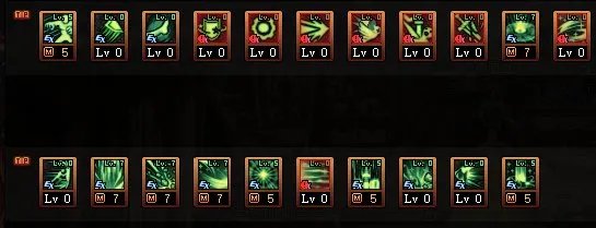 DNF巴卡尔帕拉丁刷图加点