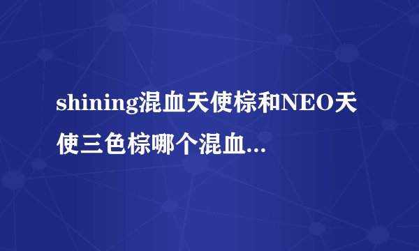 shining混血天使棕和NEO天使三色棕哪个混血效果更好？