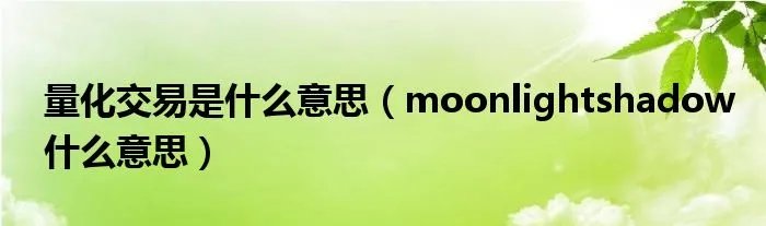 量化交易是什么意思（moonlightshadow什么意思）