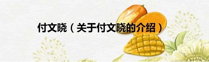 付文晓(关于付文晓的介绍)