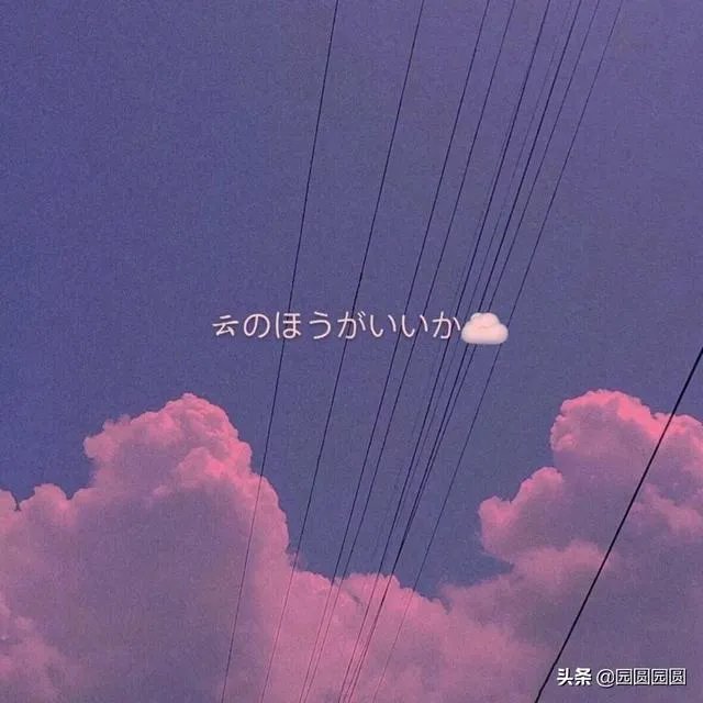 碧桂园森林城市到底是一个什么样的项目?