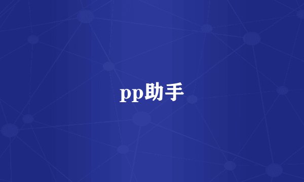 pp助手