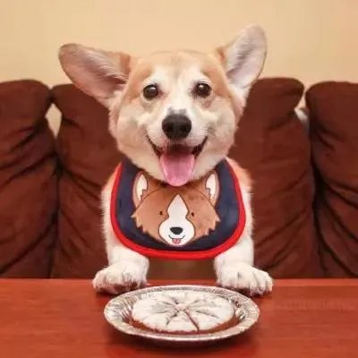 抖音最火情侣头像大全