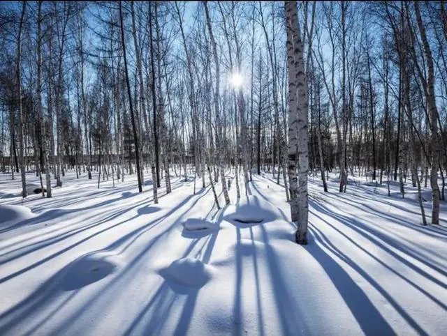 牧民为保护羊群打死狼(内蒙古徒手杀狼)