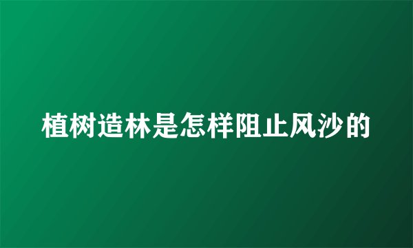 植树造林是怎样阻止风沙的