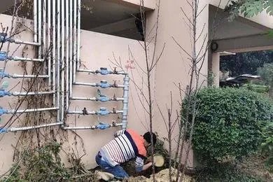 自如回应将中水接入自来水，此事的前因后果是什么？