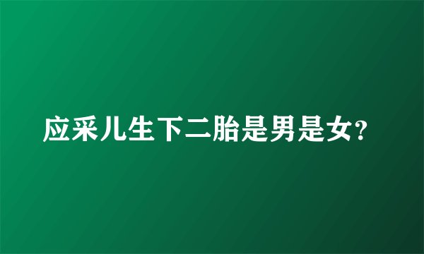 应采儿生下二胎是男是女？