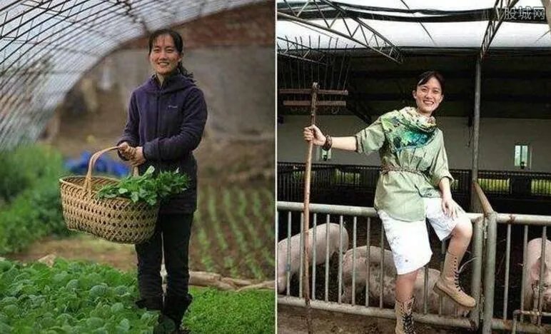 海归美女博士回京种菜养猪 年收入高达800万