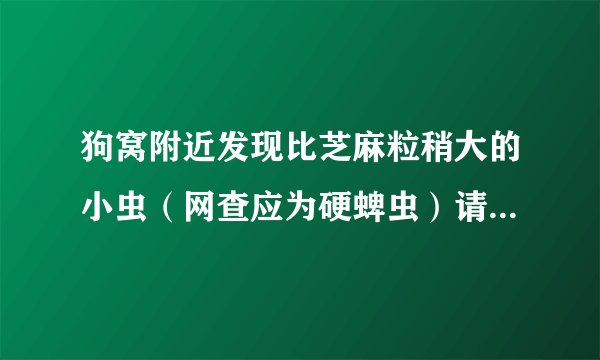 狗窝附近发现比芝麻粒稍大的小虫（网查应为硬蜱虫）请问这样程度的pi chong会在我家产卵吗？