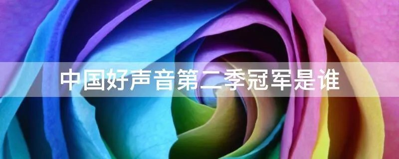 中国好声音第二季冠军是谁